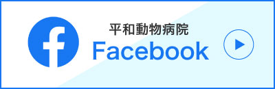 フェイスブック