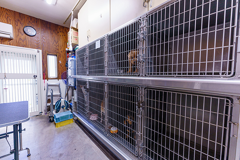 ペットホテル