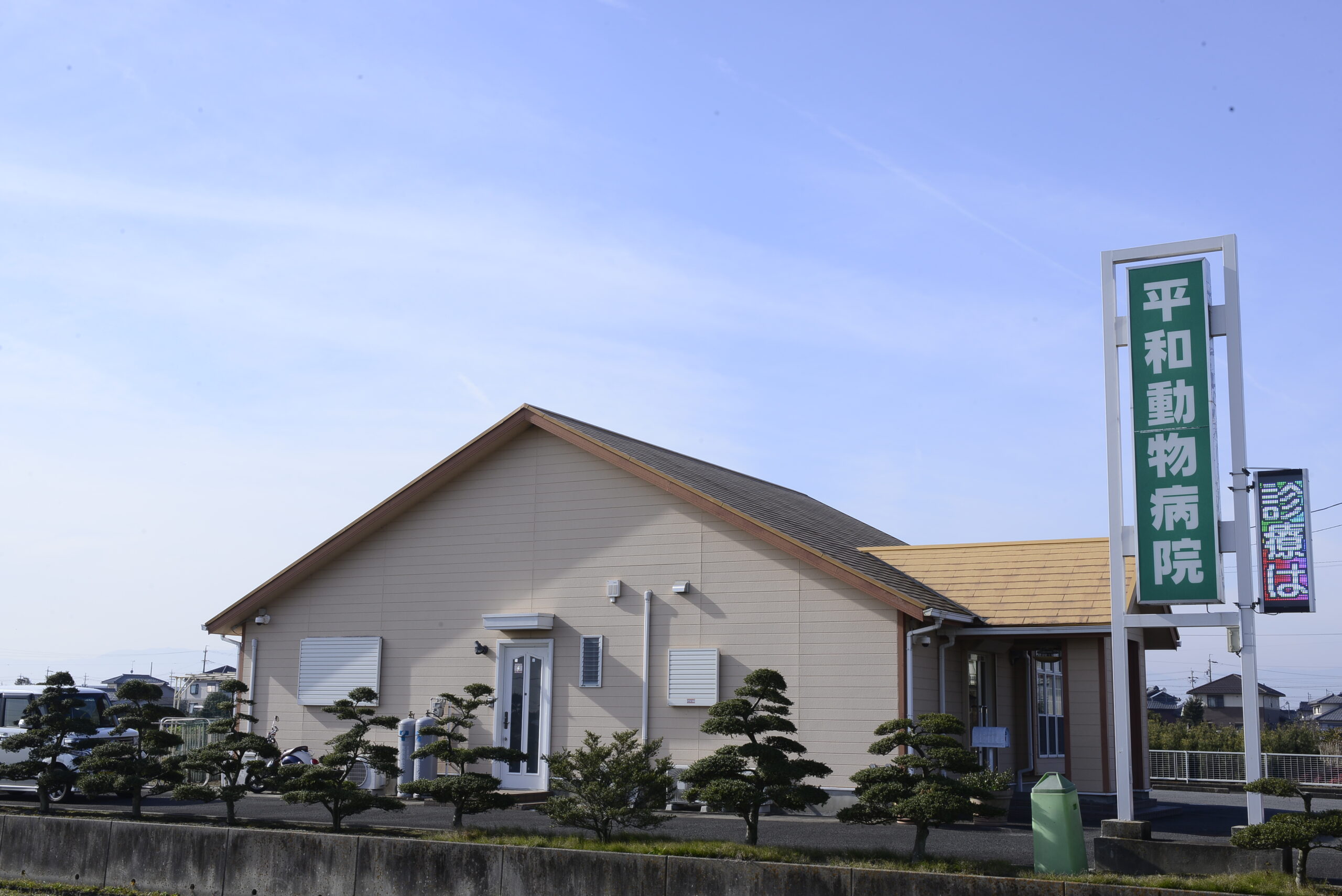 <?php the_title(); ?>